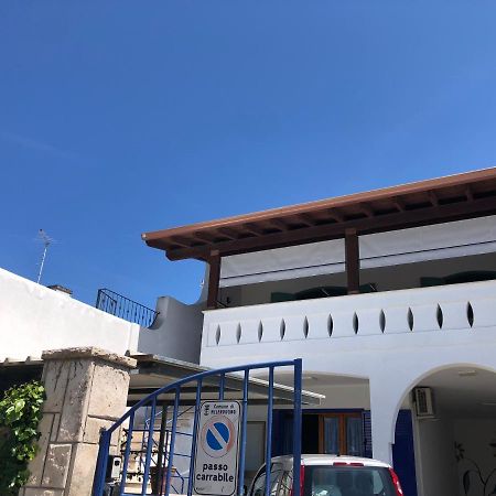 Apartmán Il Girasole Torre dell'Orso Exteriér fotografie